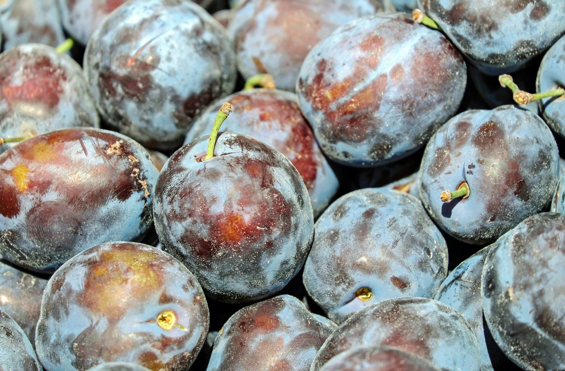 Bio-Lebensmittel: Lohnt sich der Verzehr?