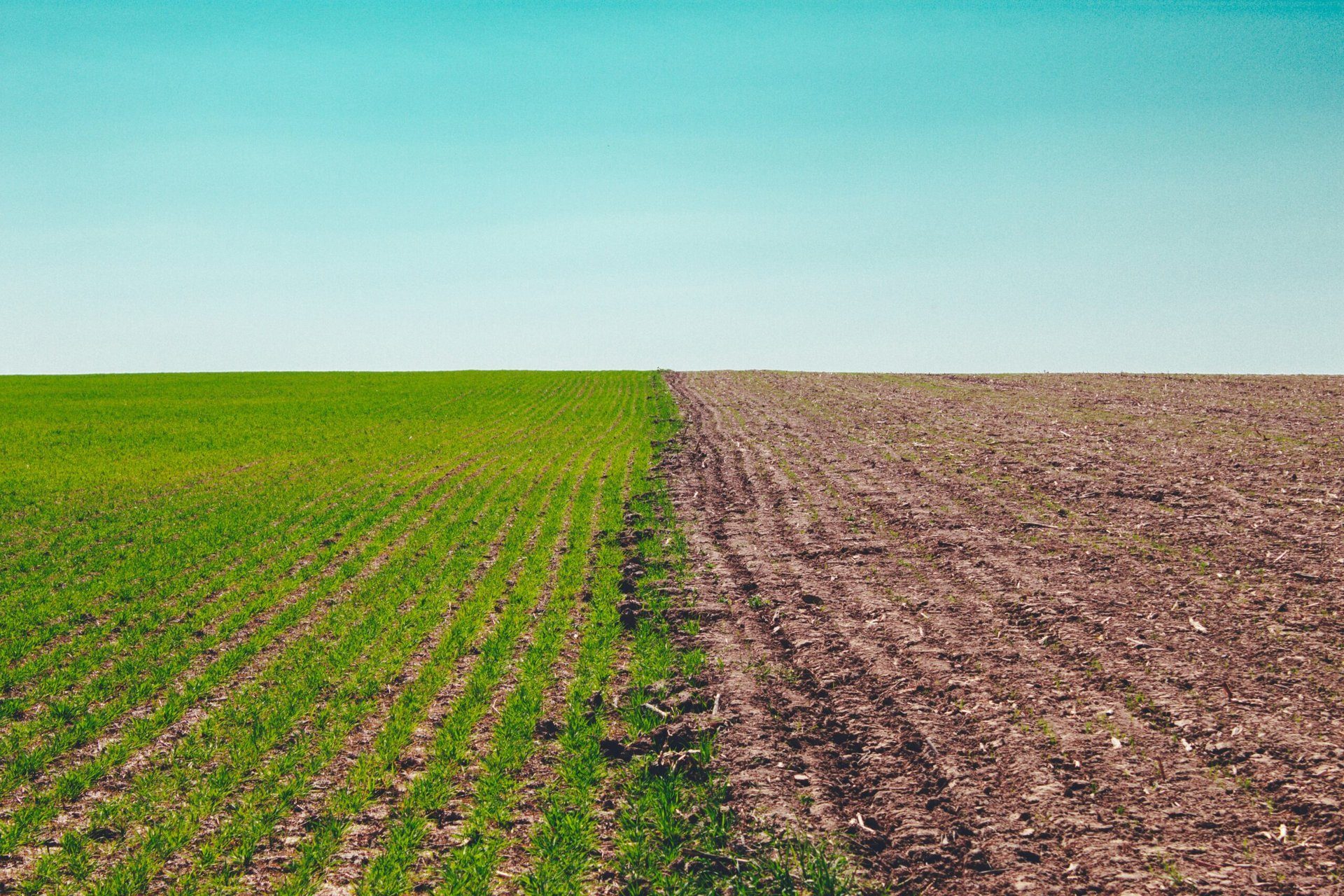 Der Klimawandel und seine Auswirkungen auf die Ernährung in Essen