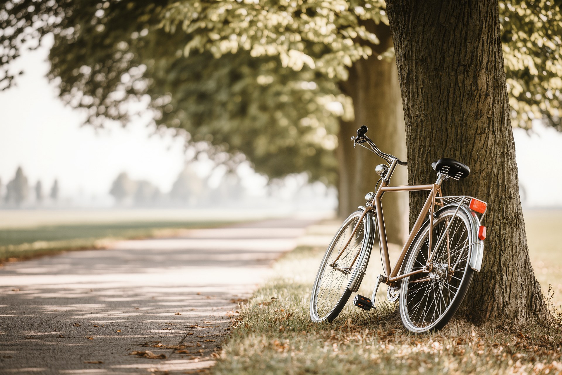 Die Vorteile des Fahrradfahrens für die Gesundheit und die Umwelt in Essen