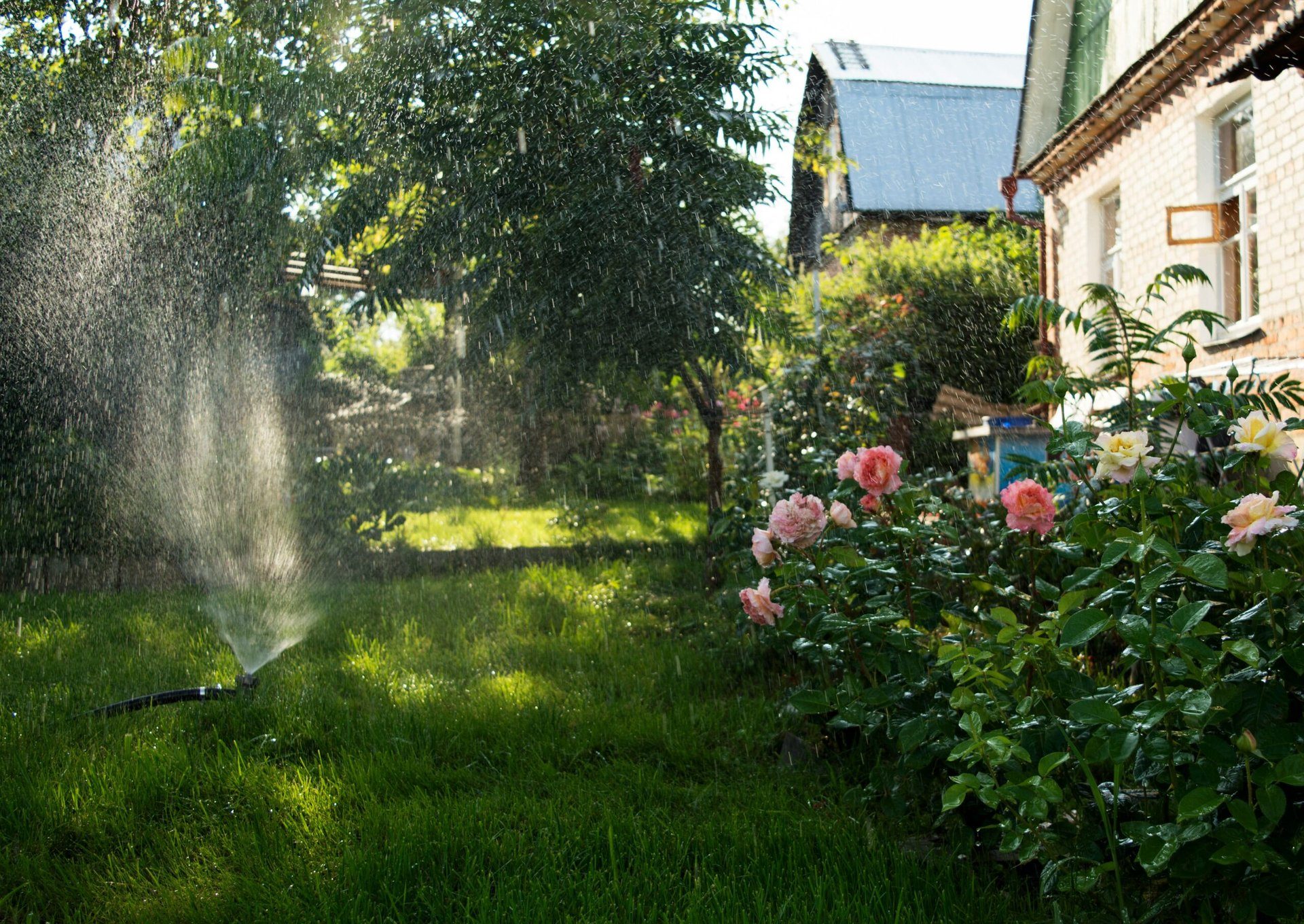 Effiziente Gartenbewässerungssysteme in Essen