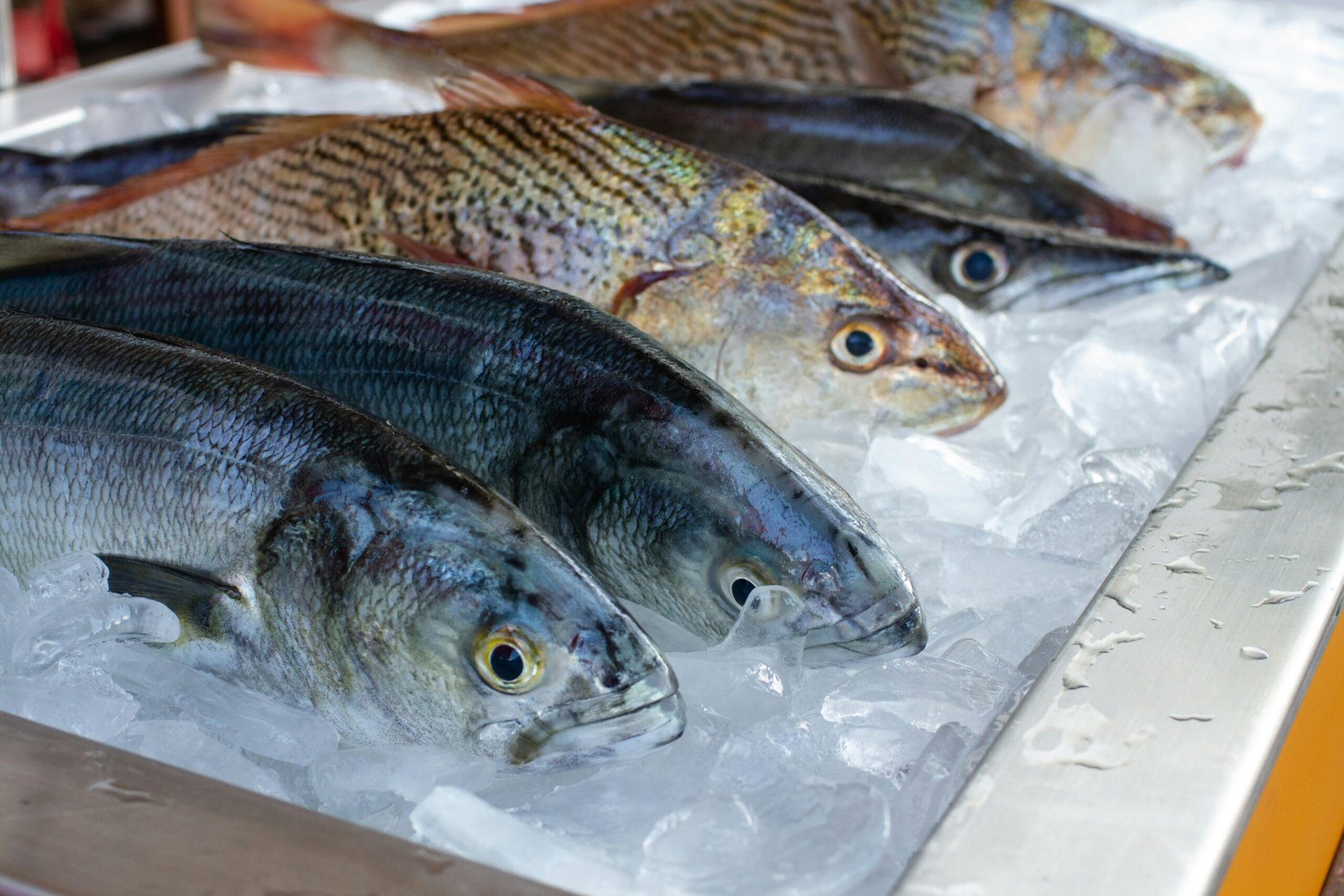 Genießen Sie Fisch und Meeresfrüchte in Deutschland