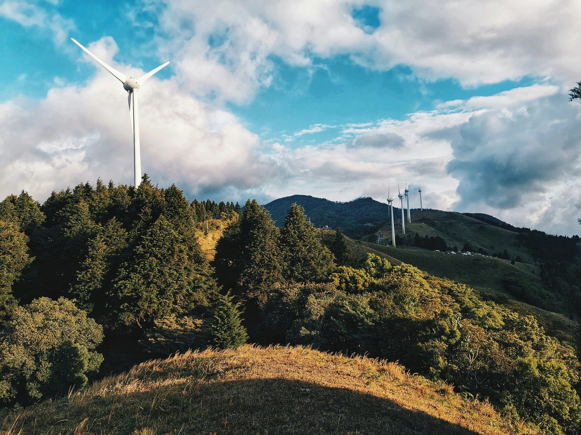 Langzeiteffekte von erneuerbaren Energien auf die Umwelt: Eine Analyse der Auswirkungen auf Essen