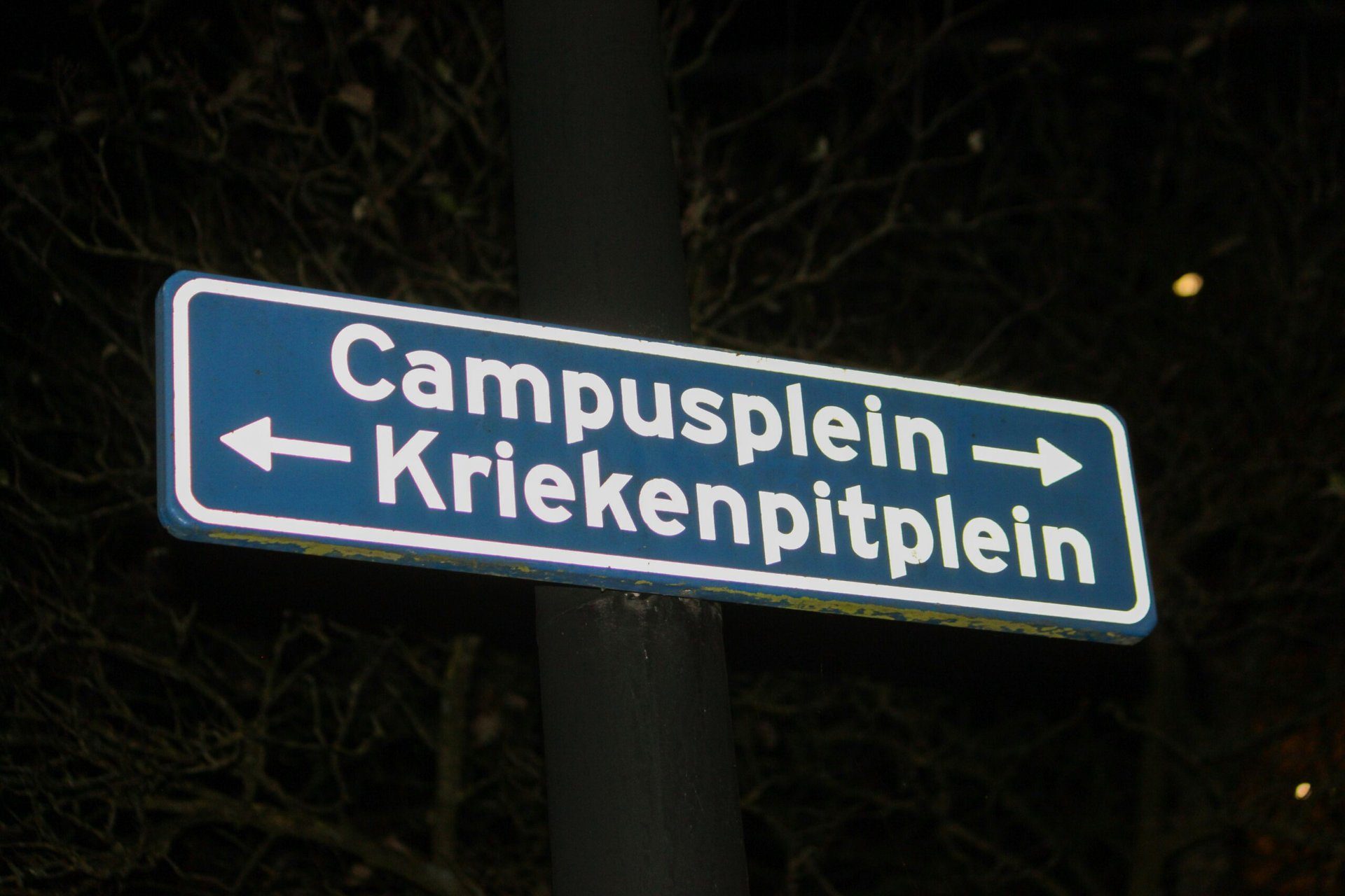 Lernspiele: Wecken das Bildungsinteresse von Kindern in Essen