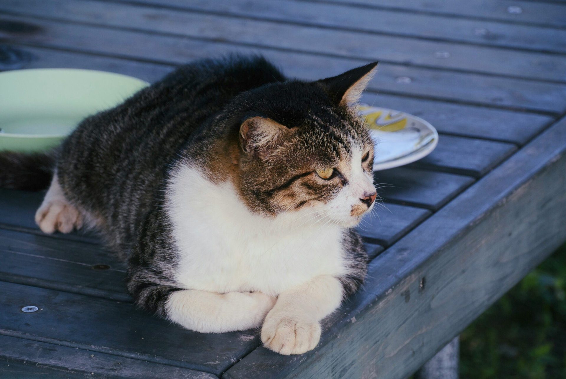 Muskelkater behandeln: Essen als wirksame Methode