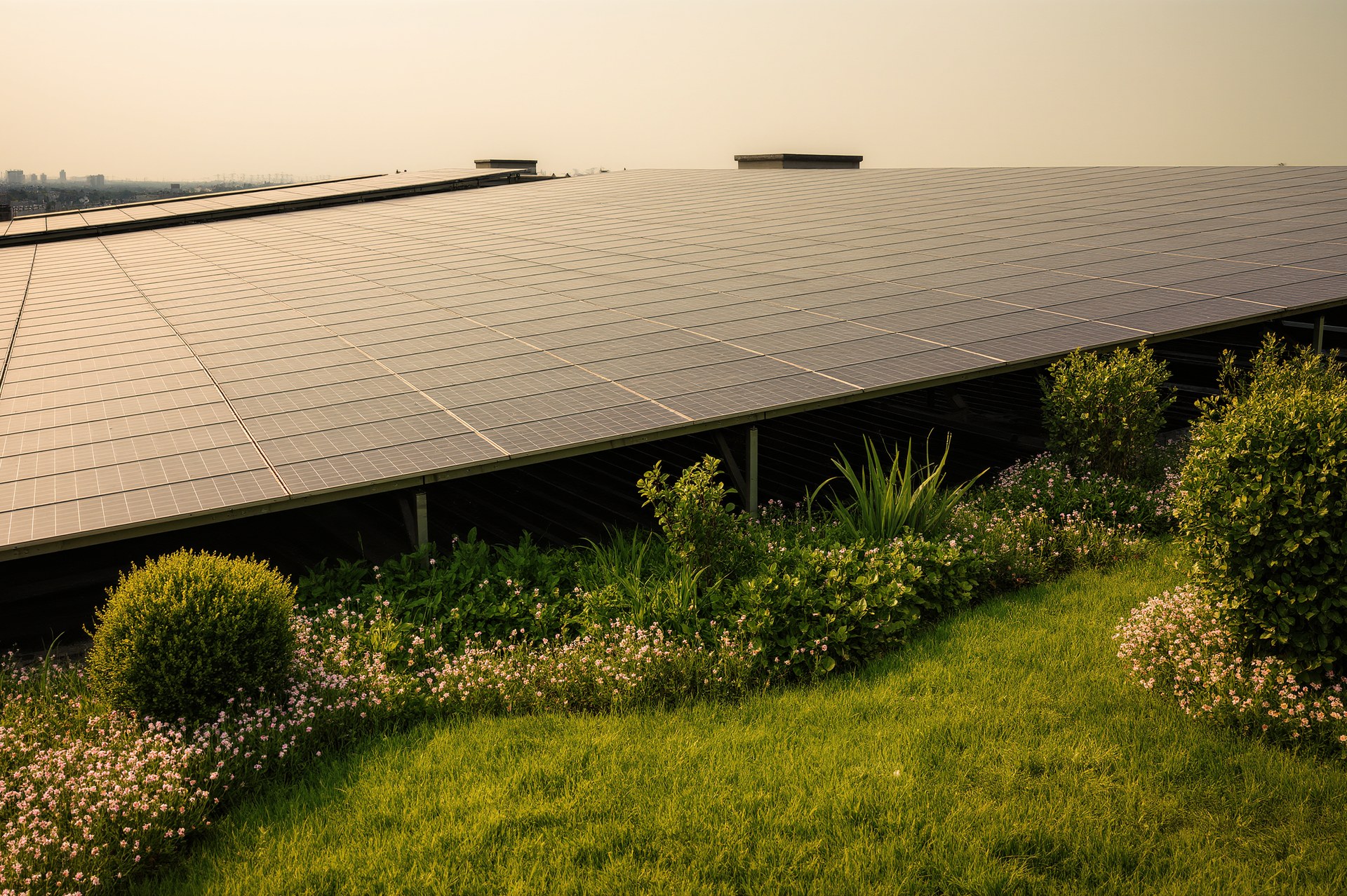 Solarenergie Förderungen Essen: Finanzielle Unterstützung für nachhaltige Energiegewinnung