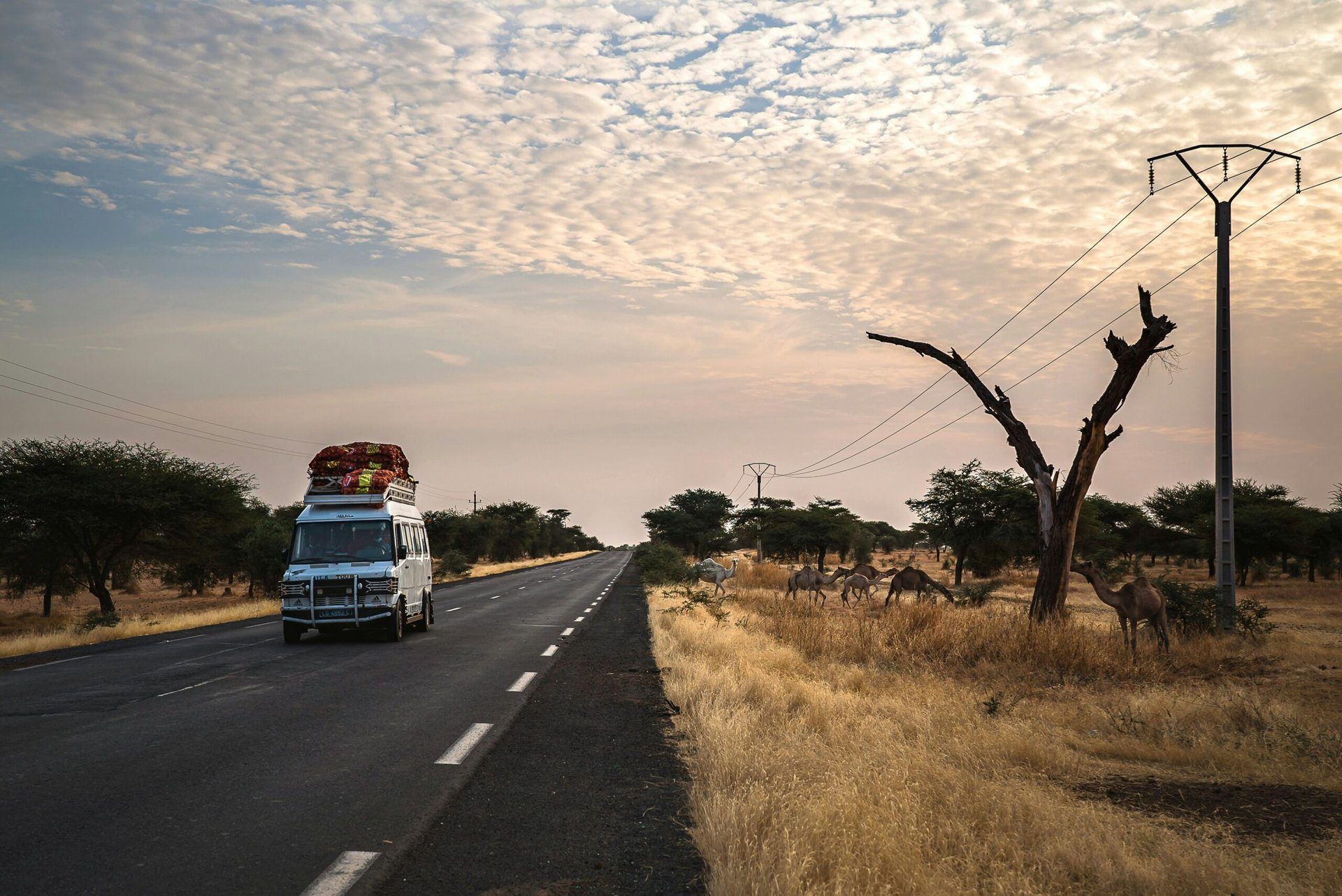 Städtereisen Afrika: Entdecken Sie die faszinierenden Metropolen des Kontinents