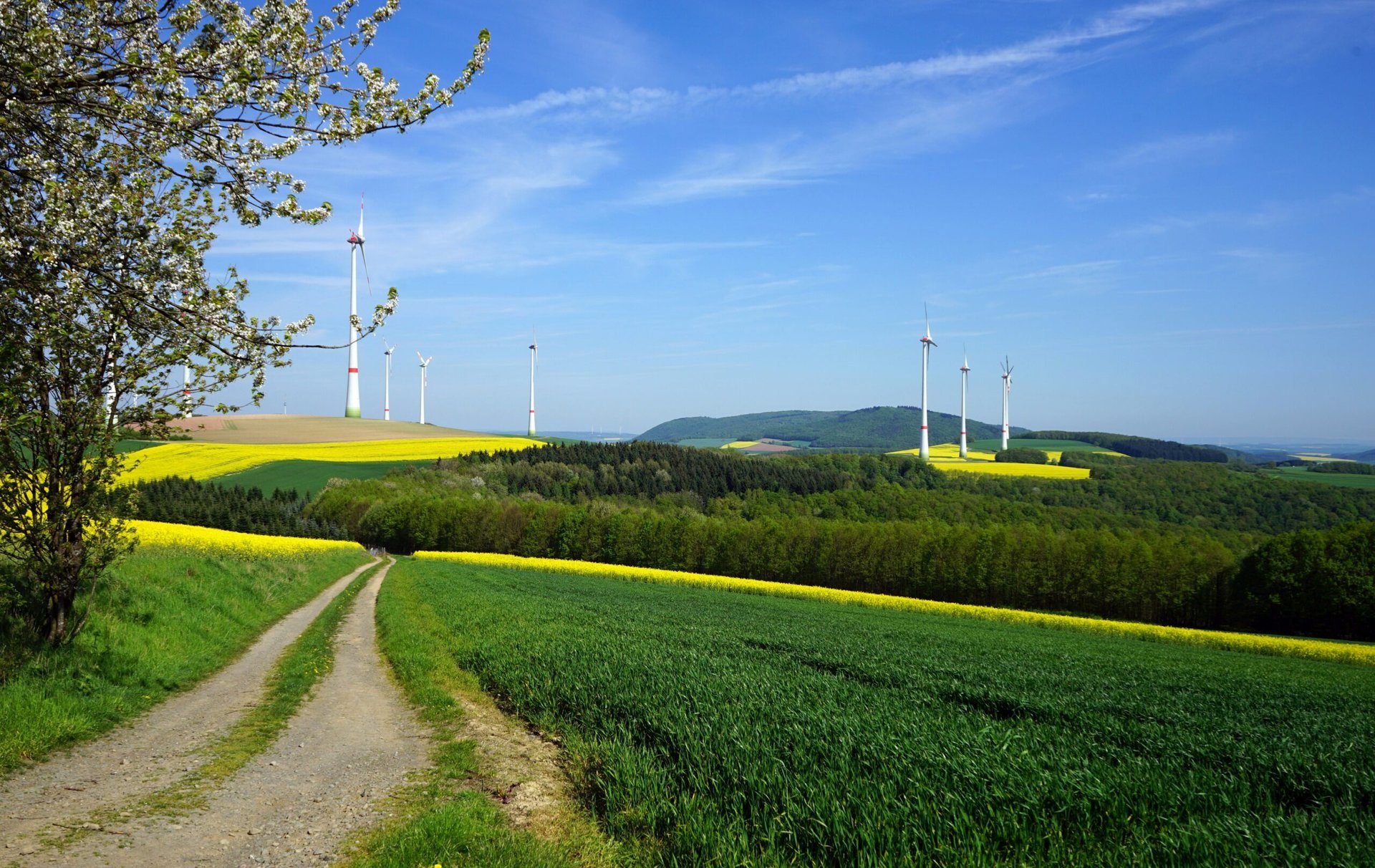 Steigerung der Energieeffizienz in Essen