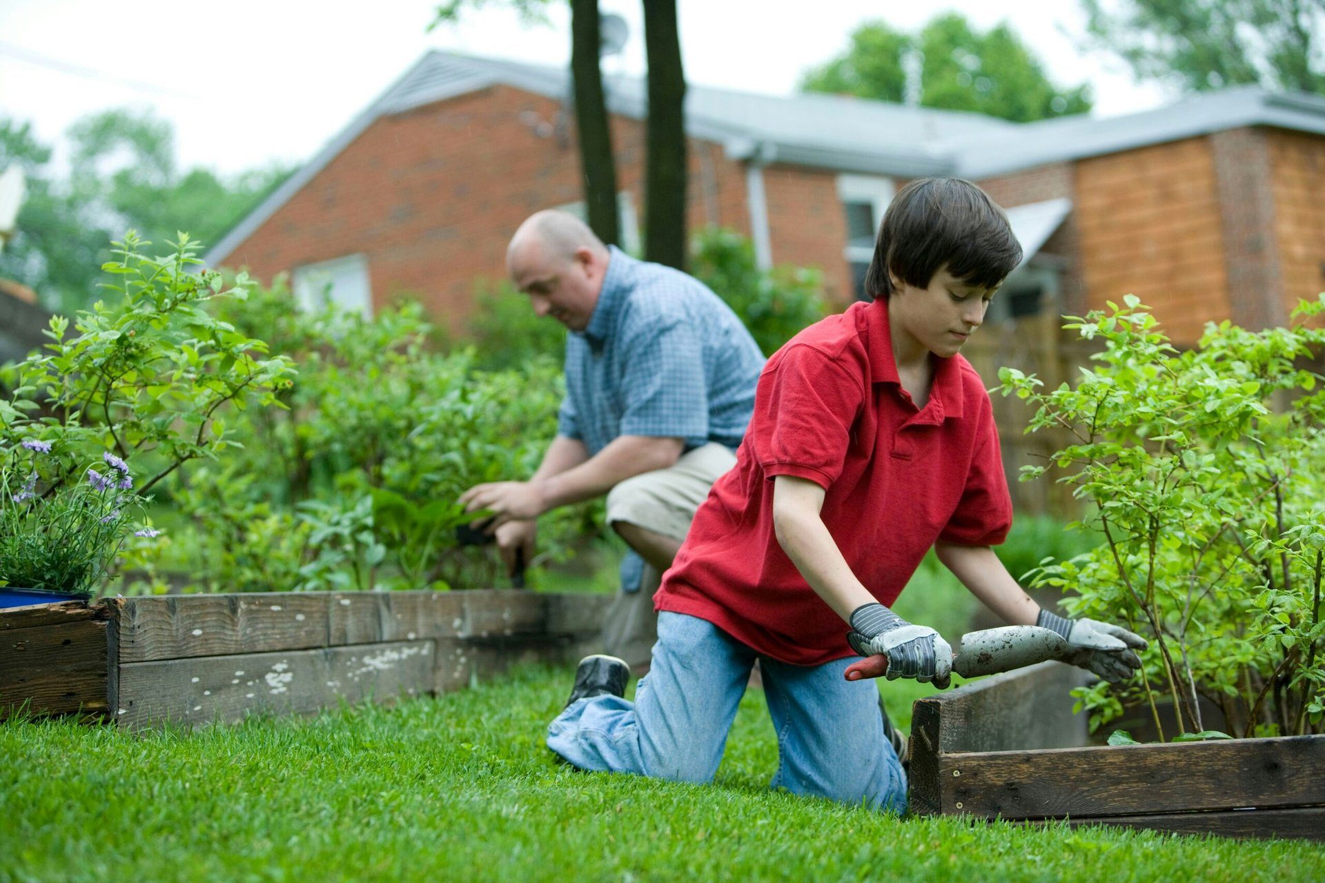 Tipps für chemiefreie Gartenarbeit in Essen