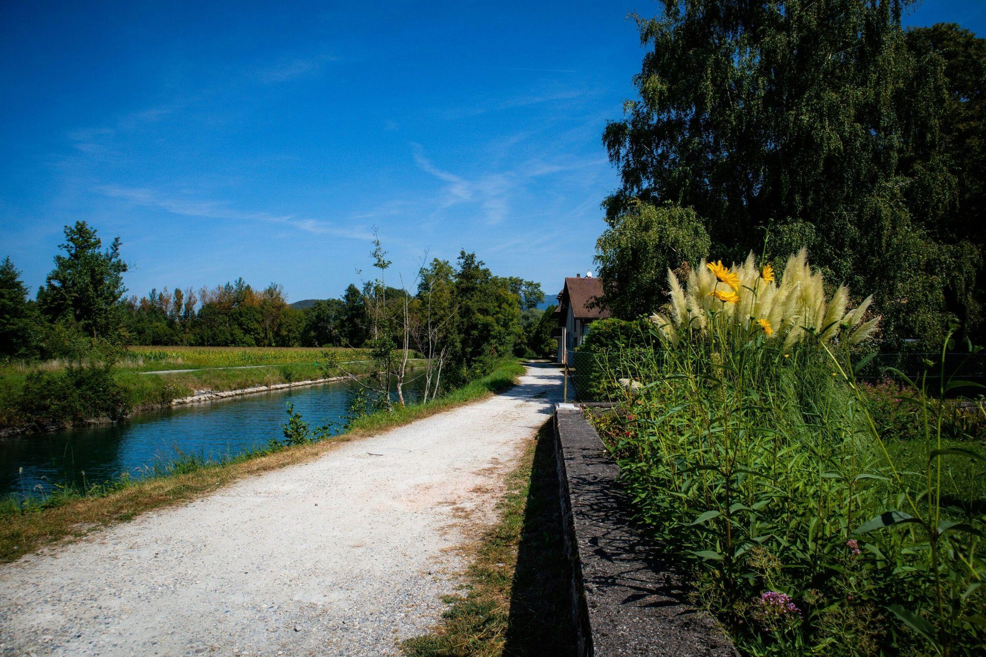 Tipps zum Gartenteich anlegen in Essen