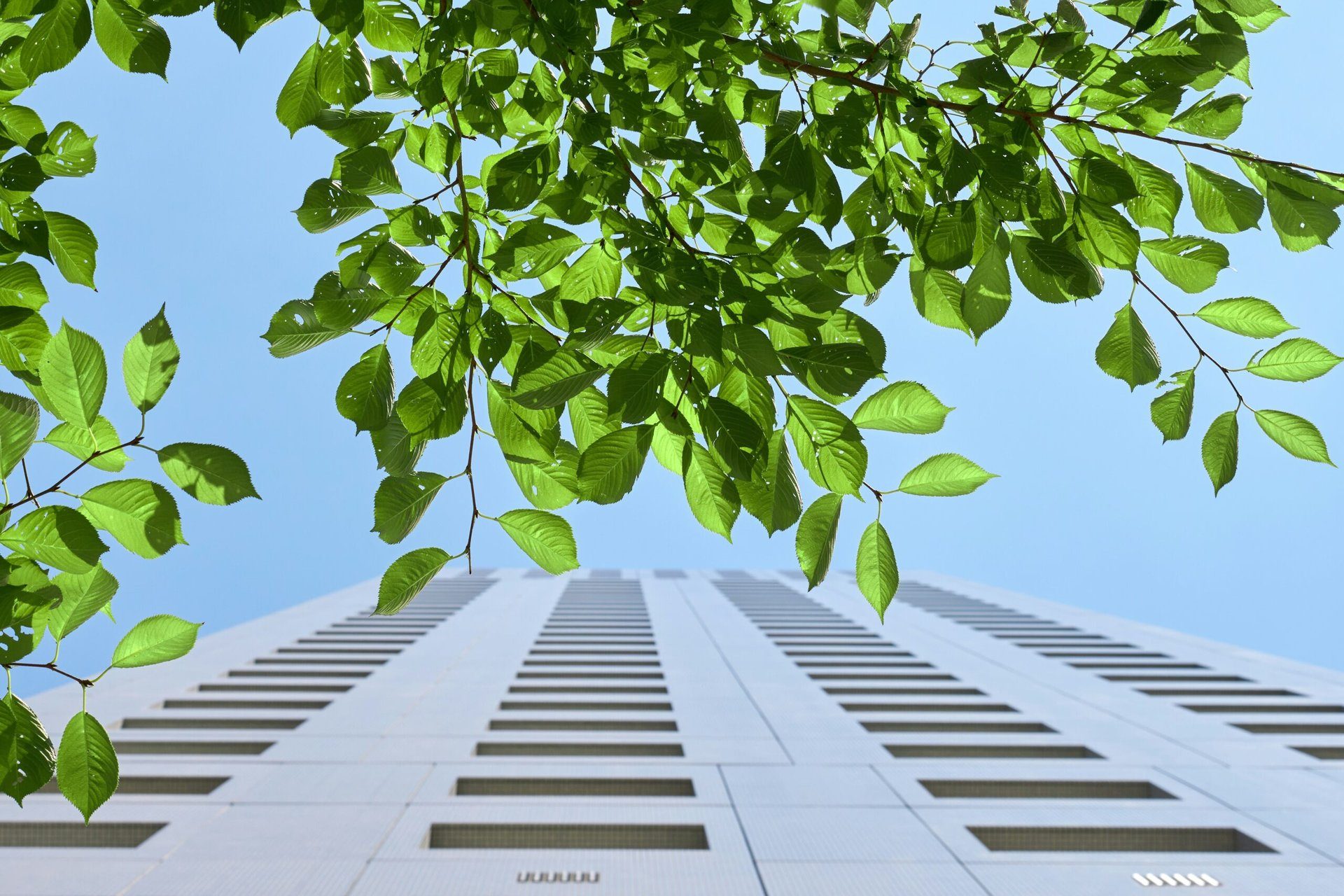 Umweltfreundliche Energieoptionen für Unternehmen in Essen