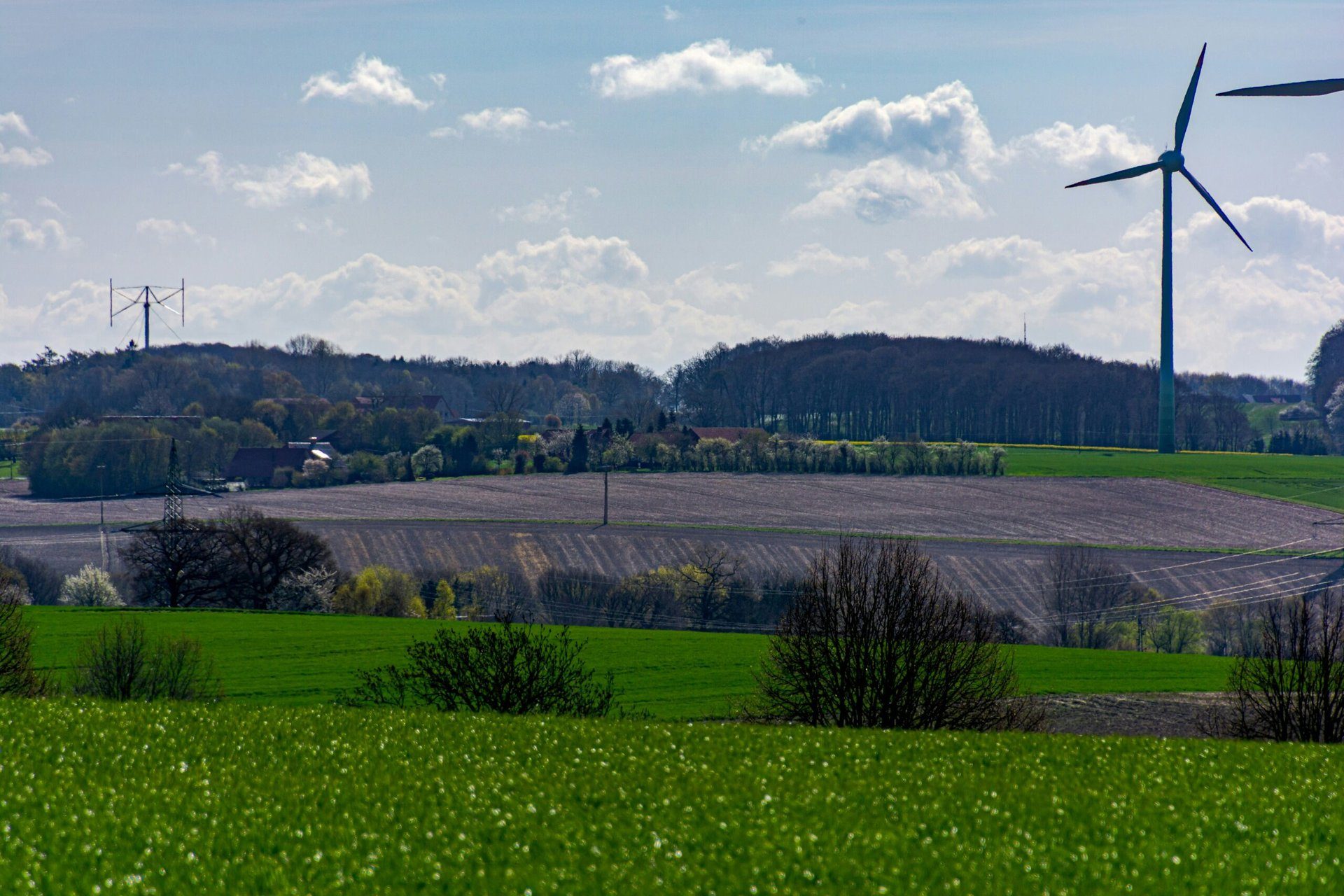 Vorbereitung auf die Energieunabhängigkeit: Essen und Erneuerbare Energien